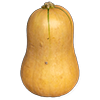 Butternuss