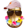 Gold Tourist
