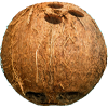 Kokosnuss