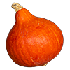 Oranger Knirps