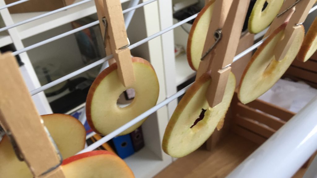 An Wäscheständer aufgehängte Apfelringe