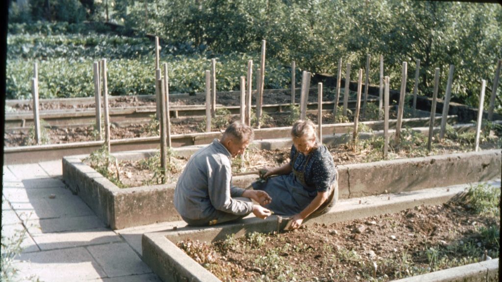 Vater und Elsa Jucker im Garten