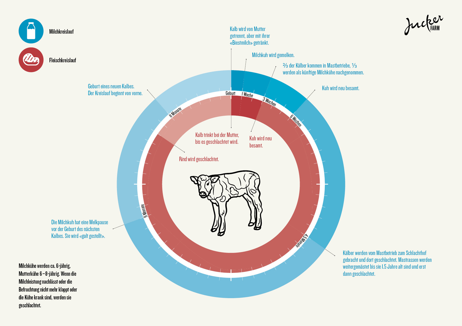 Infografi Milch- und Fleischkreisläufe