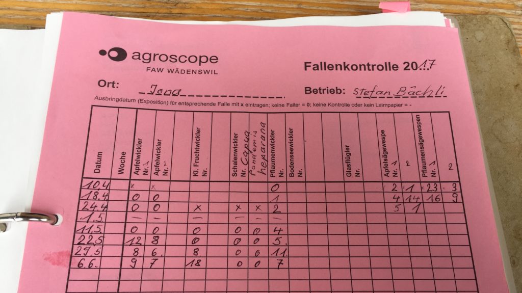 Ausgefüllter Wochenkontrollzettel