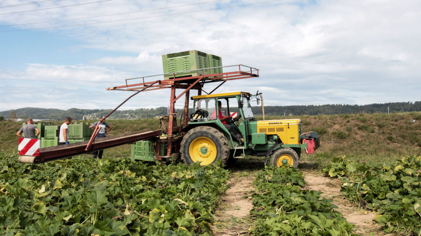 Intensive vs. extensive Landwirtschaft - Was ist der Unterschied?