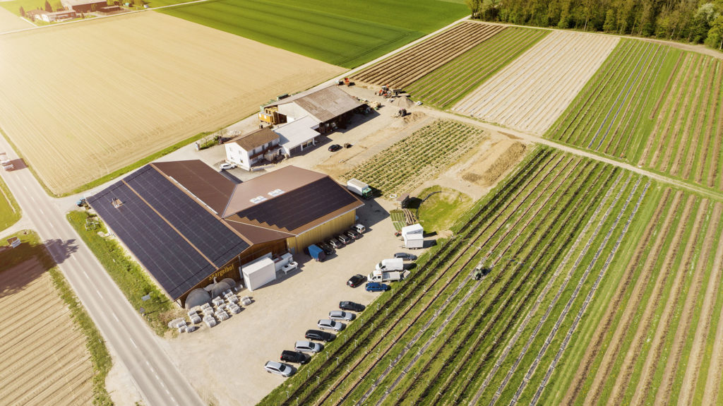 Agroconcept Solaranlage Daniel Hager