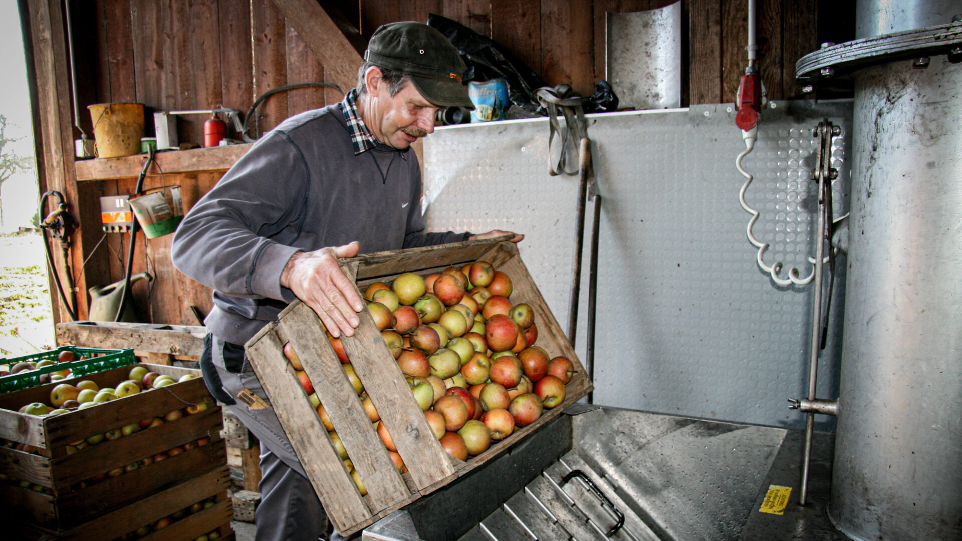 Apfelmost Produktion