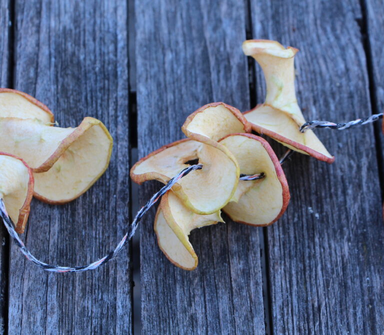 Apfelringe Selber Machen