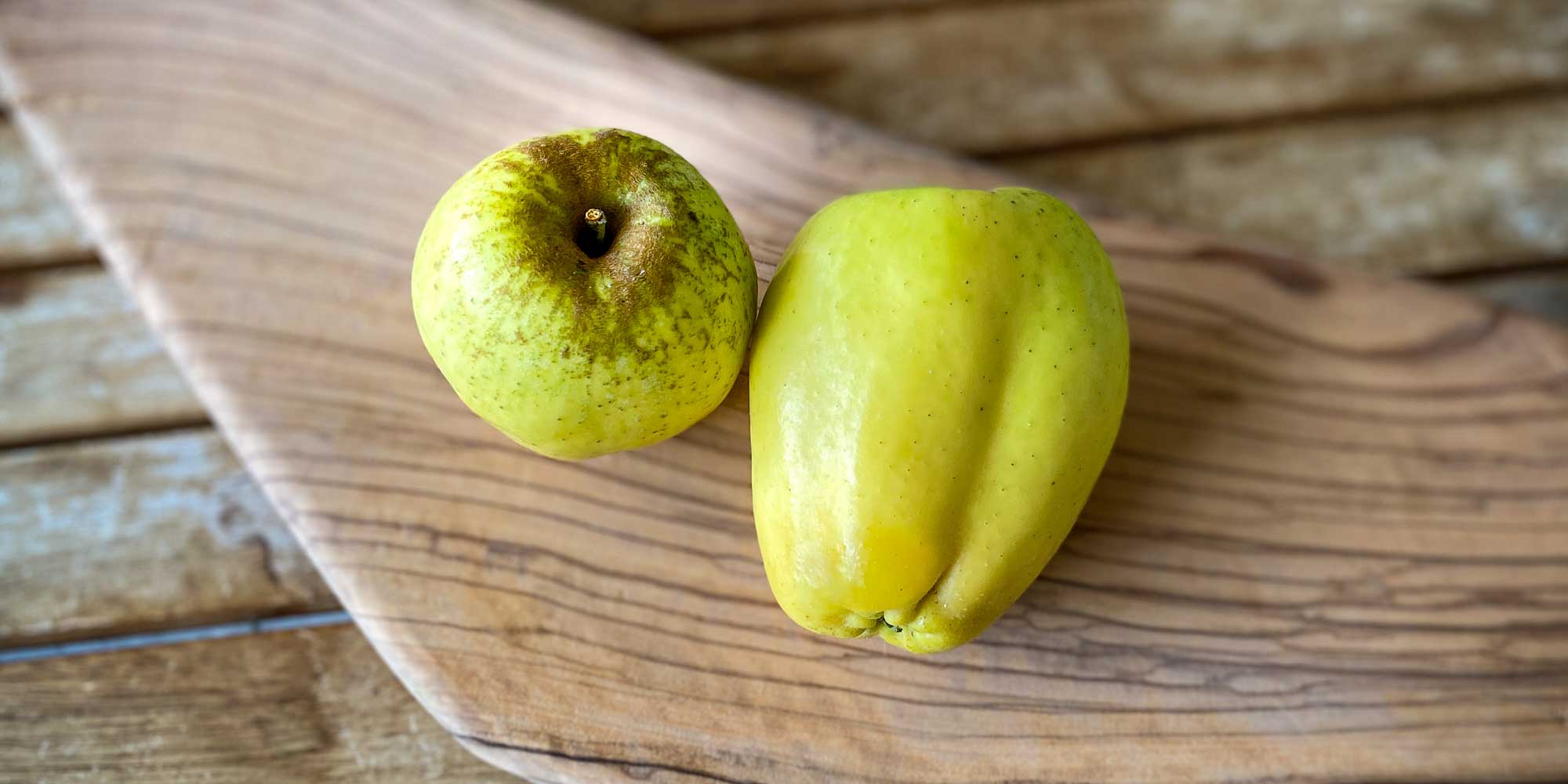 Der Usterapfel - ein kleines Urgestein.