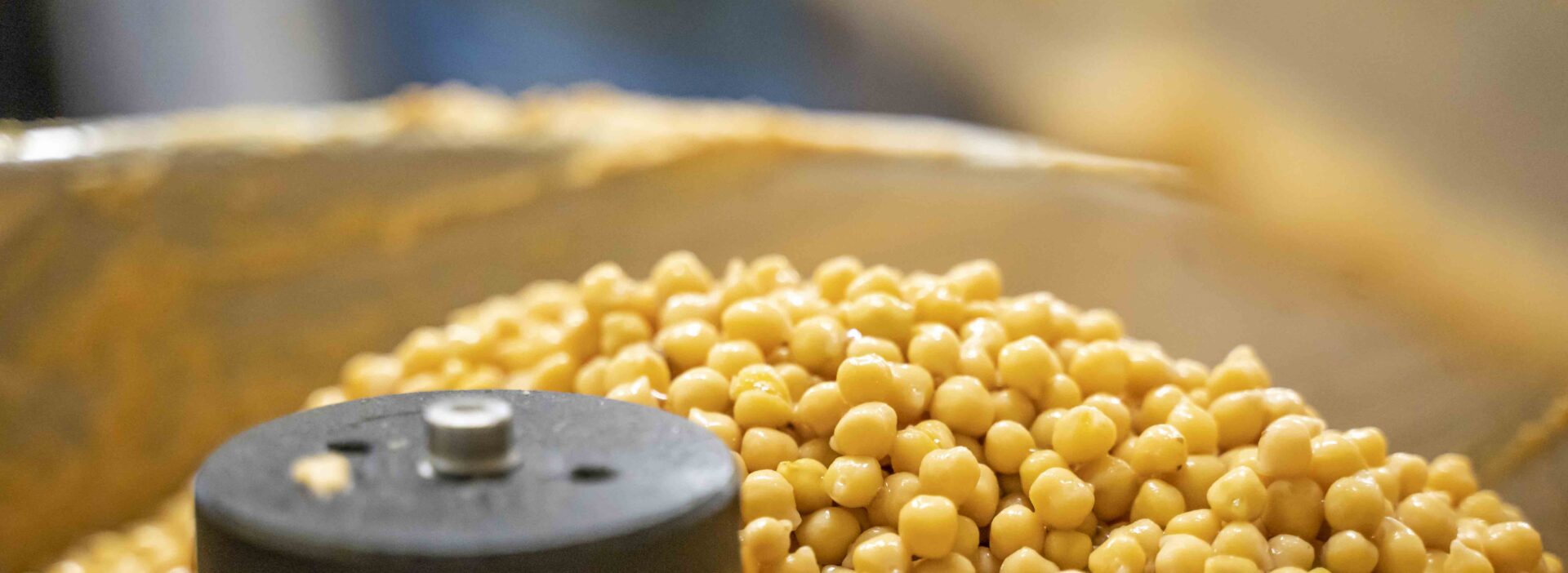 Baechlihof Manufaktur Hummus Produktion