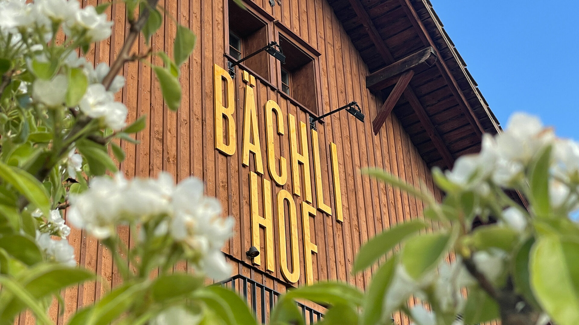 Bächlihof Frühling