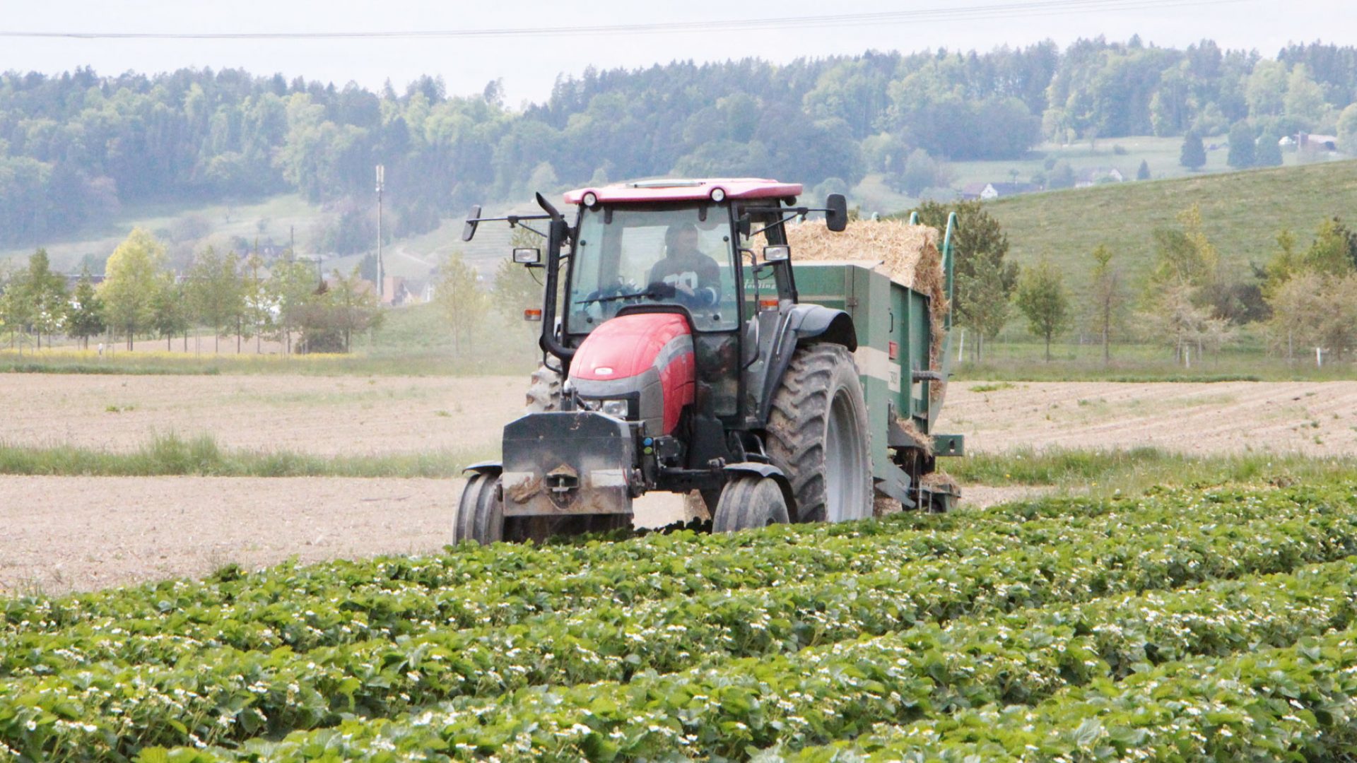 Bauer auf Traktor