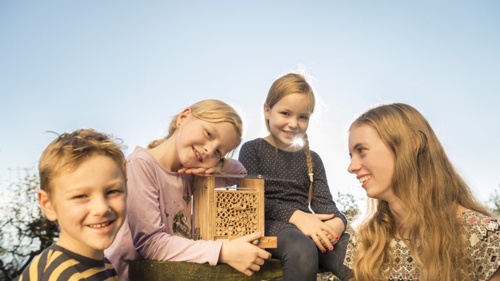 BeeHome Mit Kids, Wildbienen Sind Harmlos