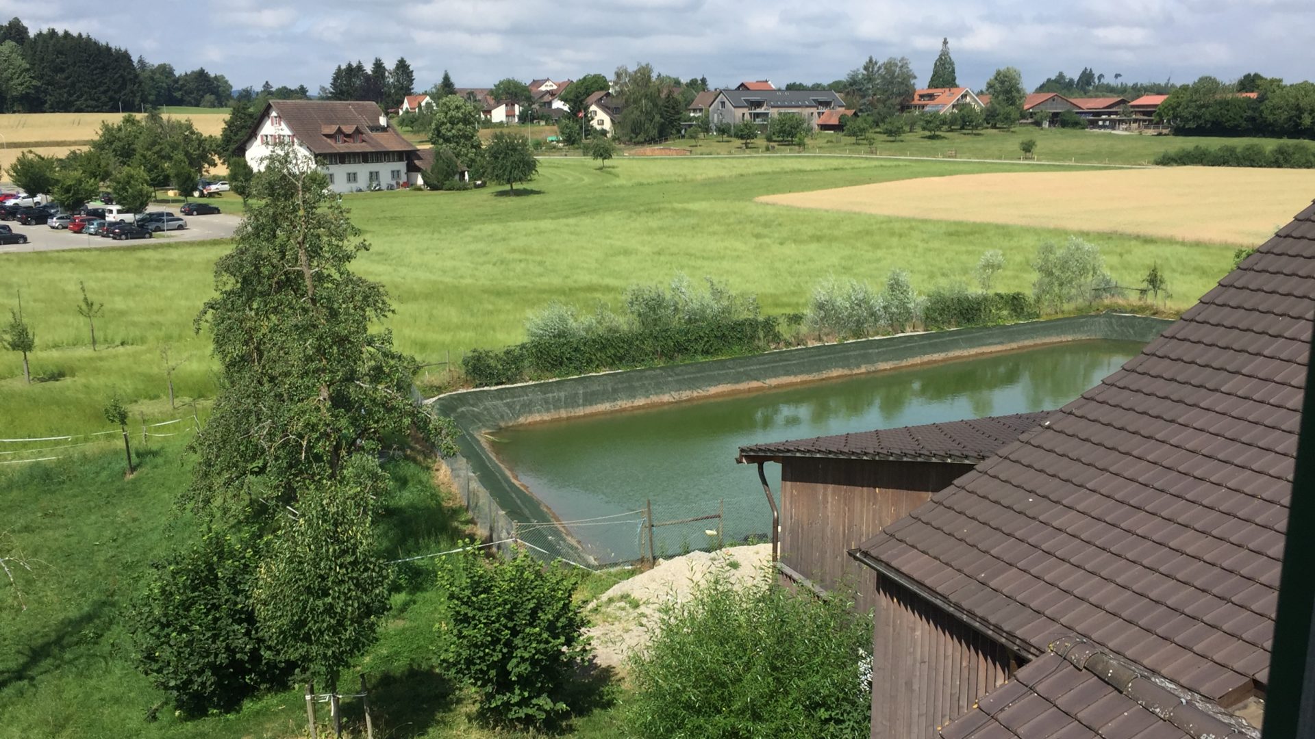 Bewaesserungsteich Juni 18