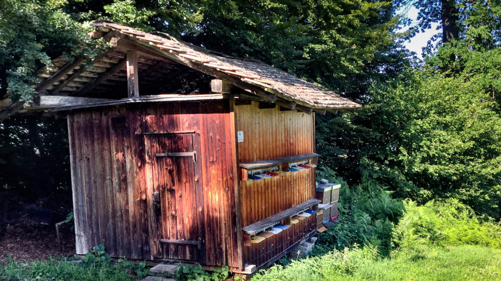 Bienenhäuschen am Waldrand