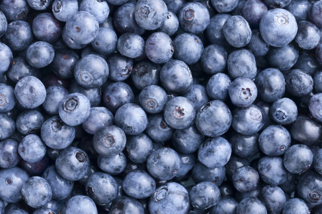 Heidelbeeren oder Blaubeeren? SaisonLexikon FarmTicker