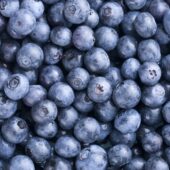 Blaubeeren Heidelbeeren