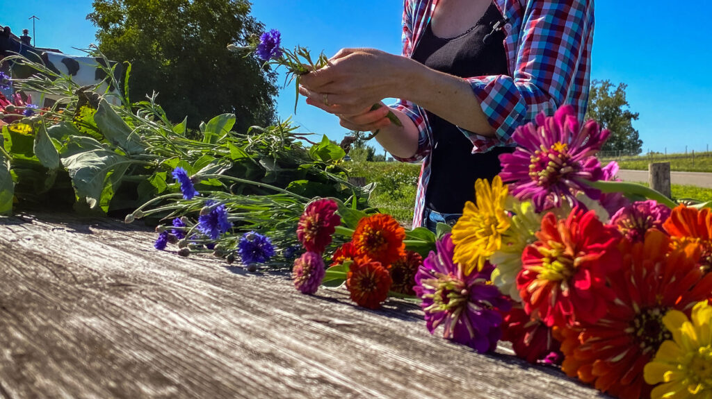 Blumen Pflücken Rüstplatz