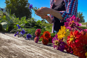 Blumen Pflücken Rüstplatz