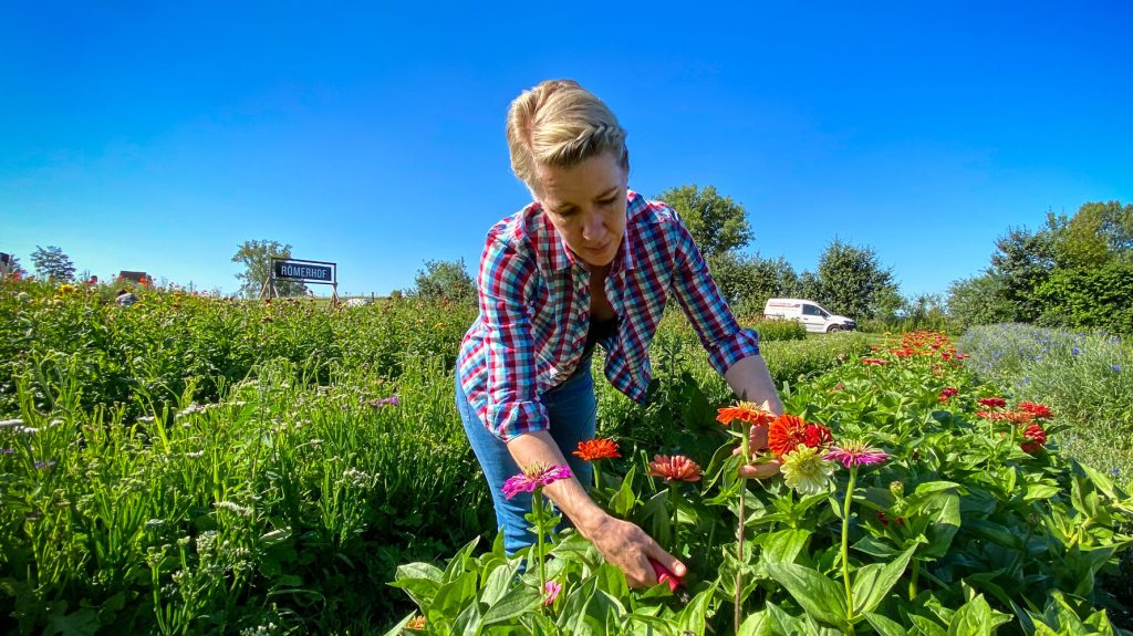 Blumen selber pflücken Zürich