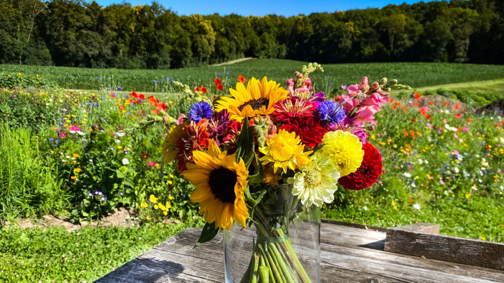 Blumenstrauss Selberpflücken