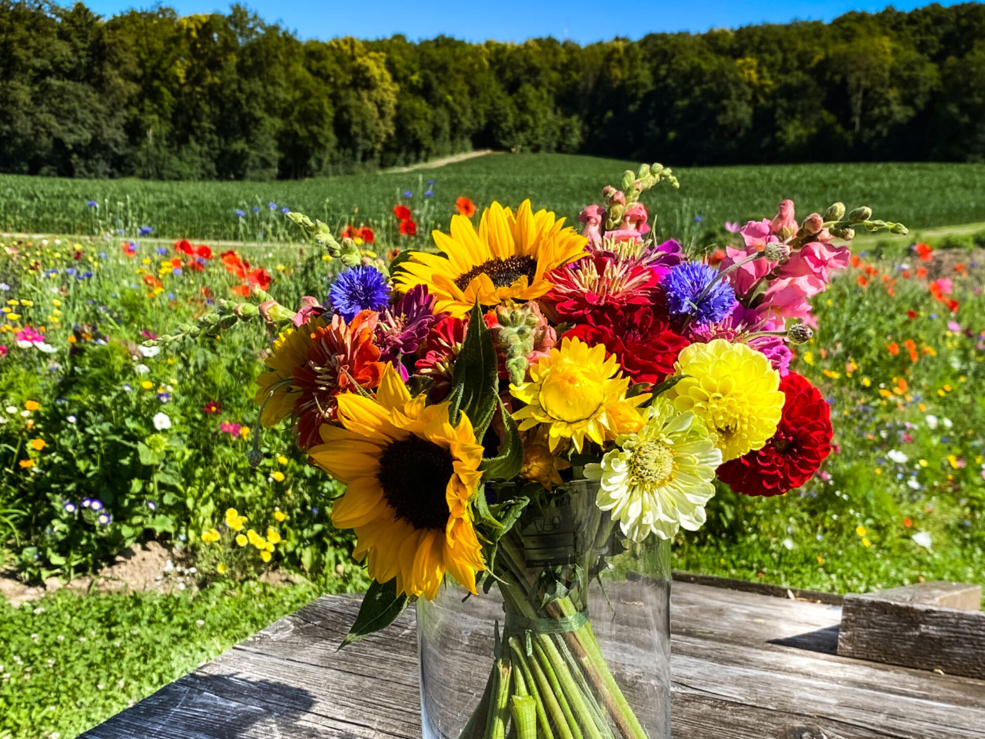 Blumenstrauss Selberpflücken