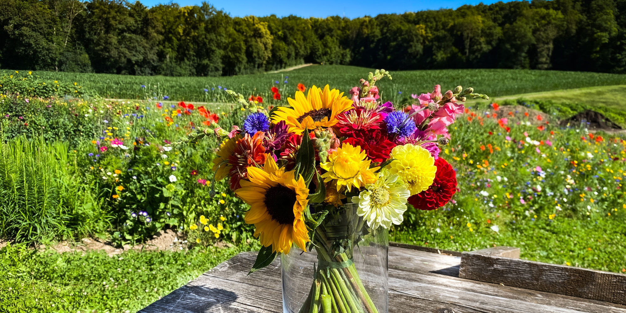 Blumenstrauss Selberpflücken