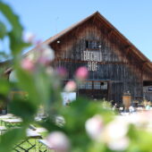 Bächlihof Frühling