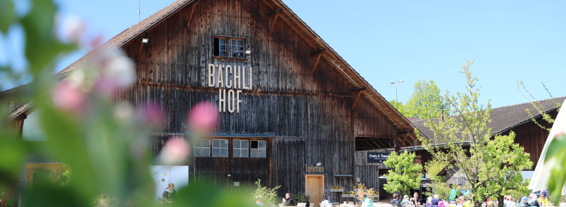 Bächlihof Frühling