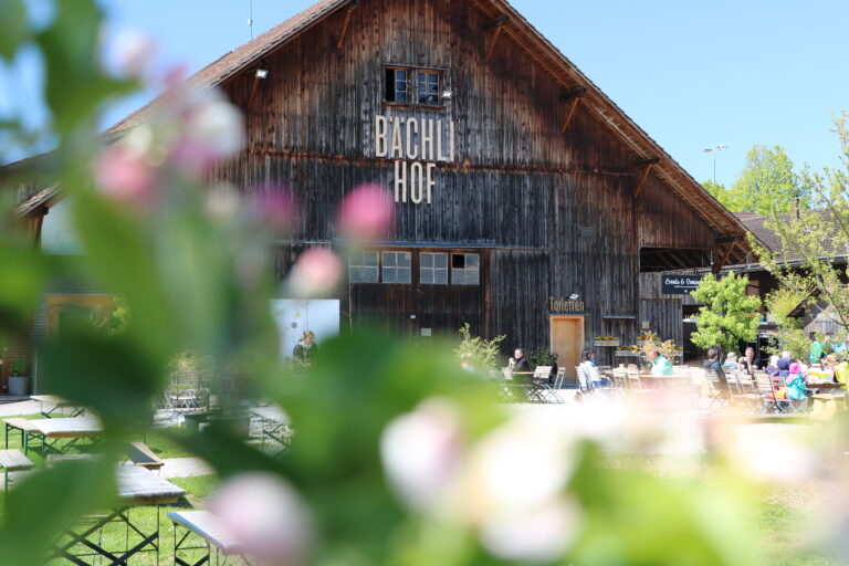 Bächlihof Frühling