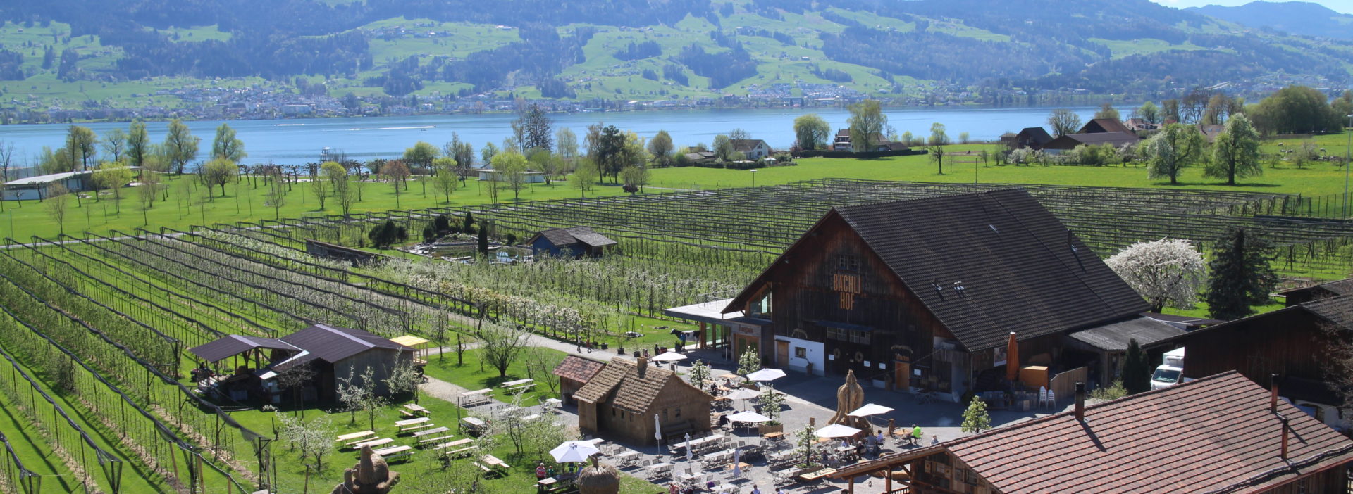 Eventlocation Bächlihof Gesamtansicht