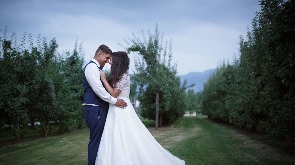 Bächlihof Hochzeit Apfelbäume