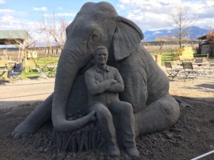 Bächlihof Sandausstellung Knie