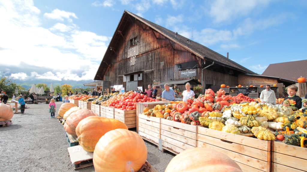 Bächlihof Schweizer Meisterschaft im Kürbiswiegen