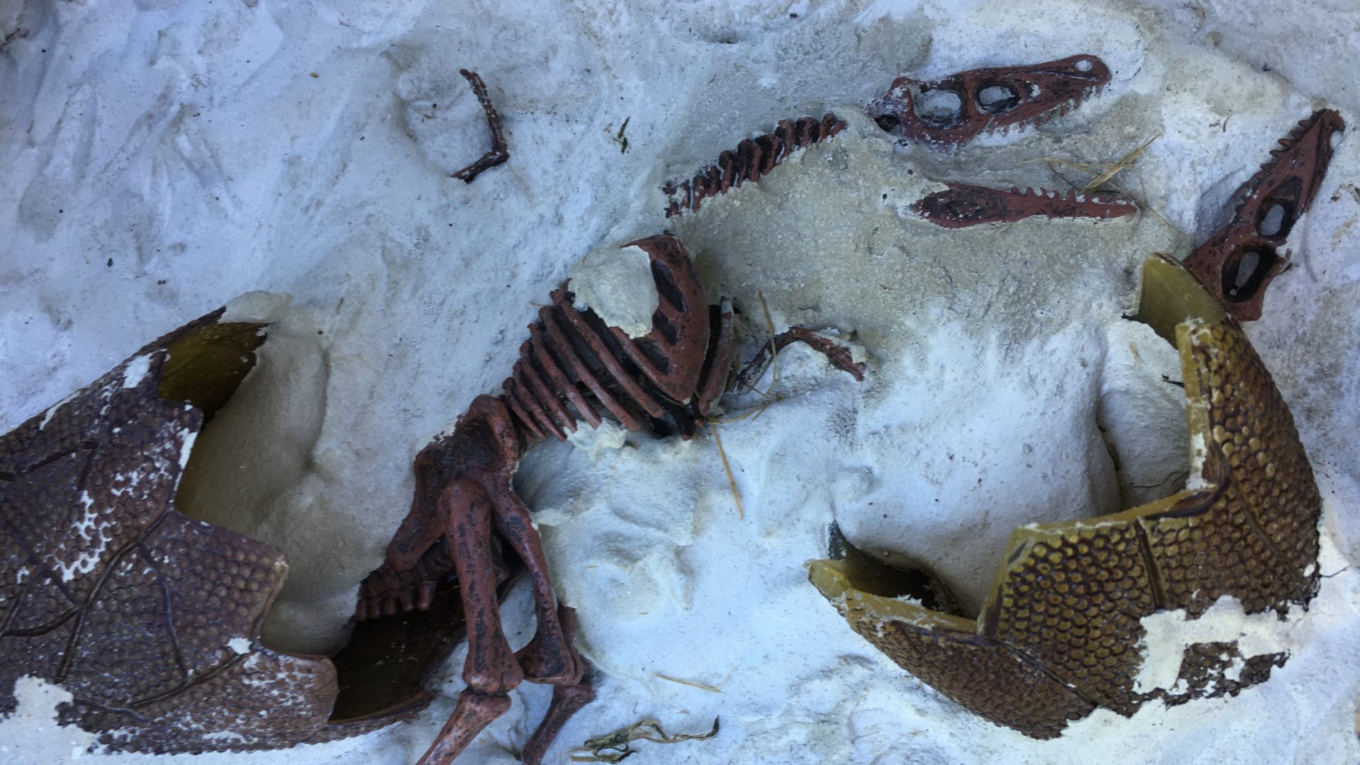 Dinosaurierei Juckerhof
