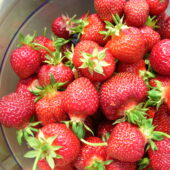 Erdbeeren in Schüssel