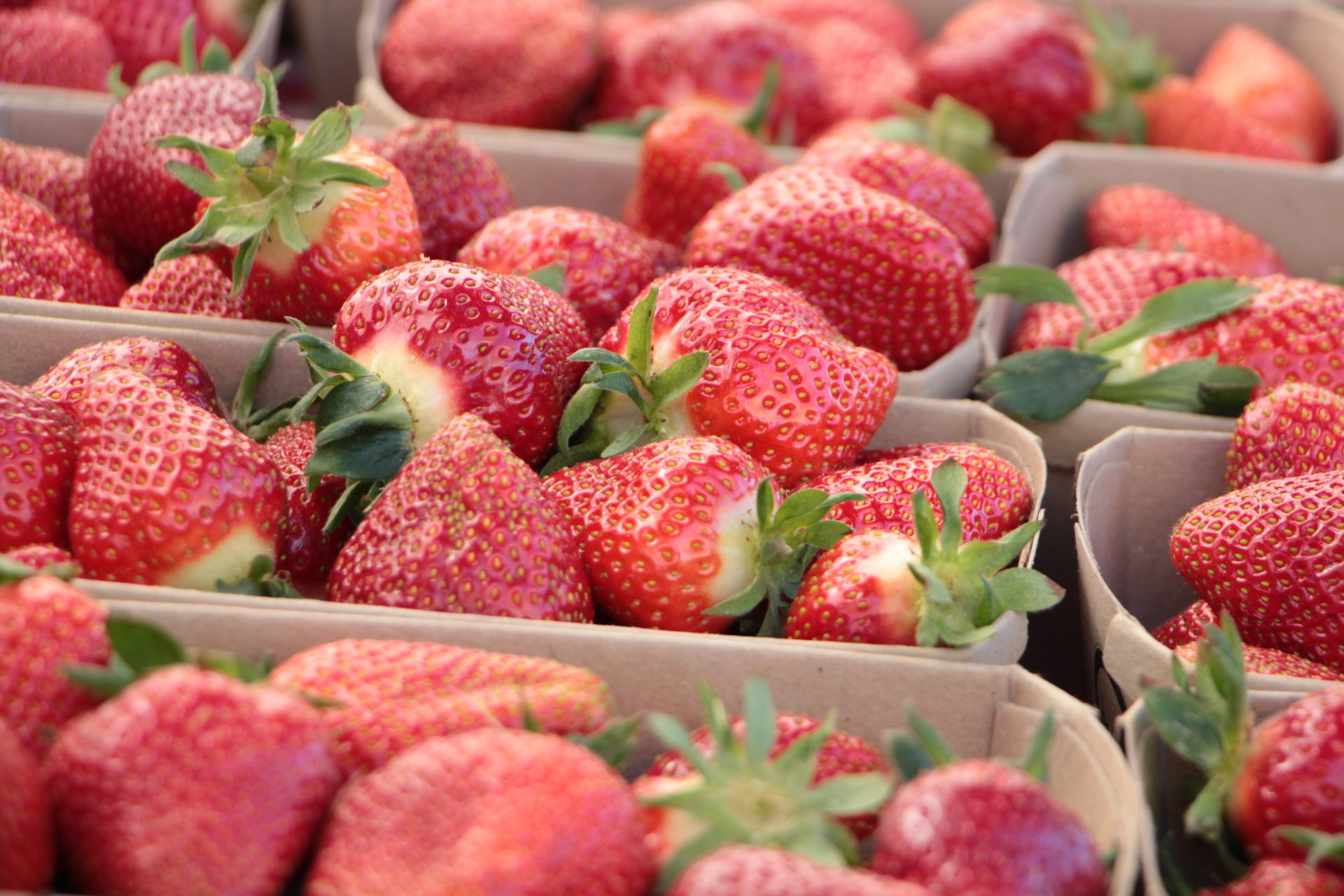 Erdbeeren Hofladen Nah