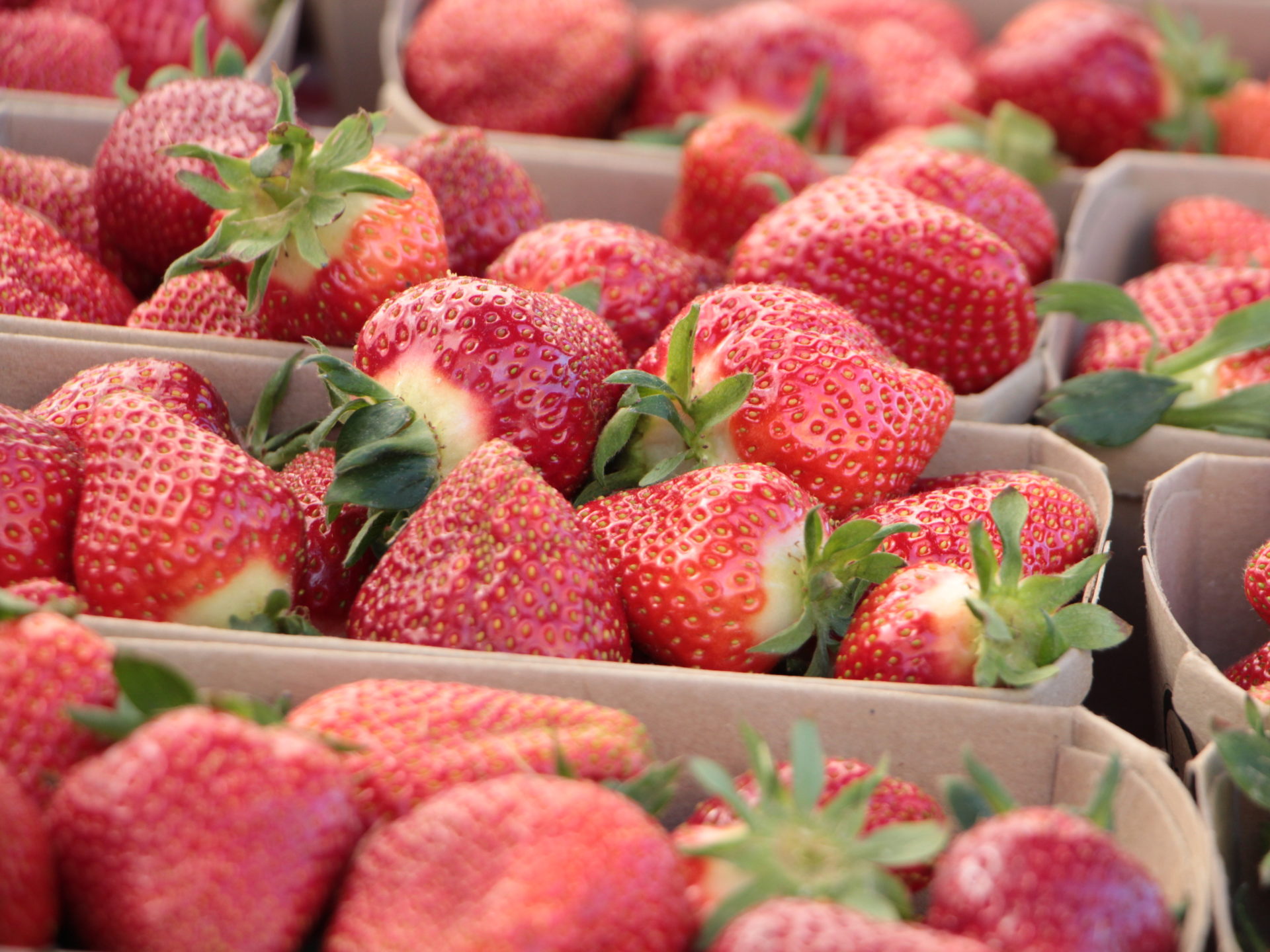 Erdbeeren Hofladen Nah