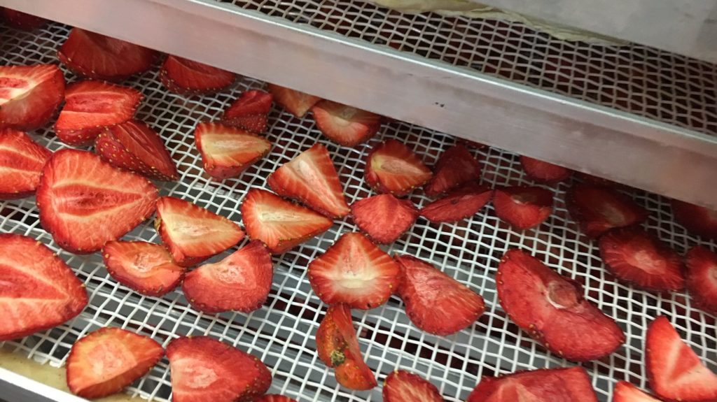 Getrocknete Erdbeeren