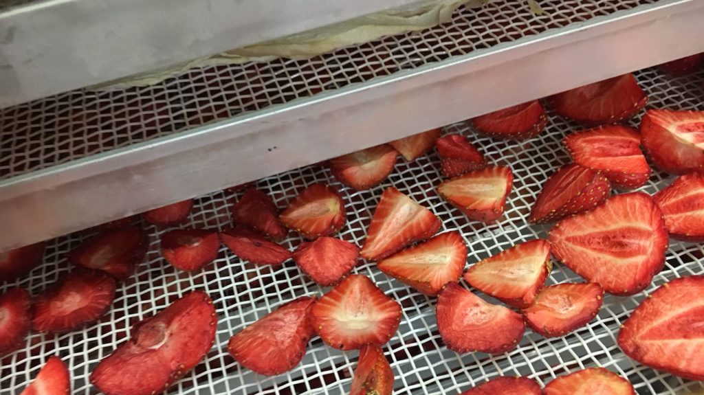 Getrocknete Erdbeeren