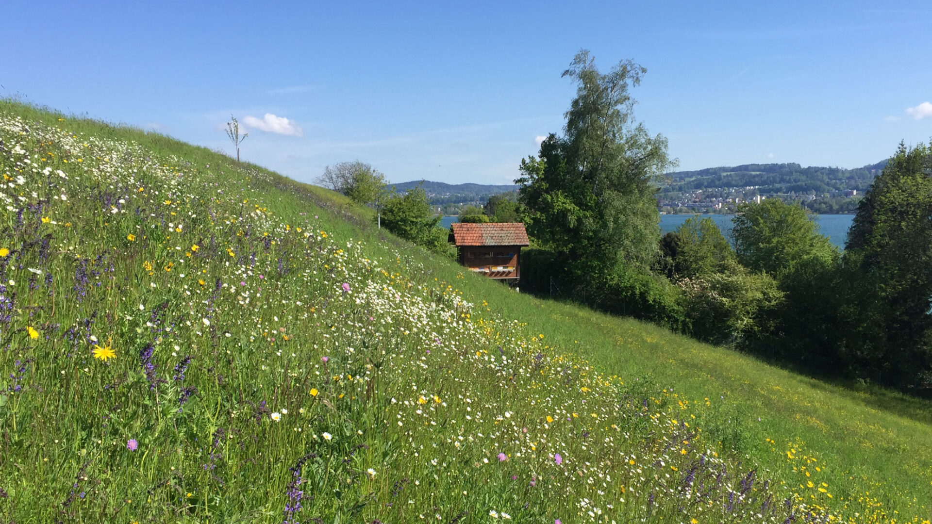 extensive Landwirtschaft