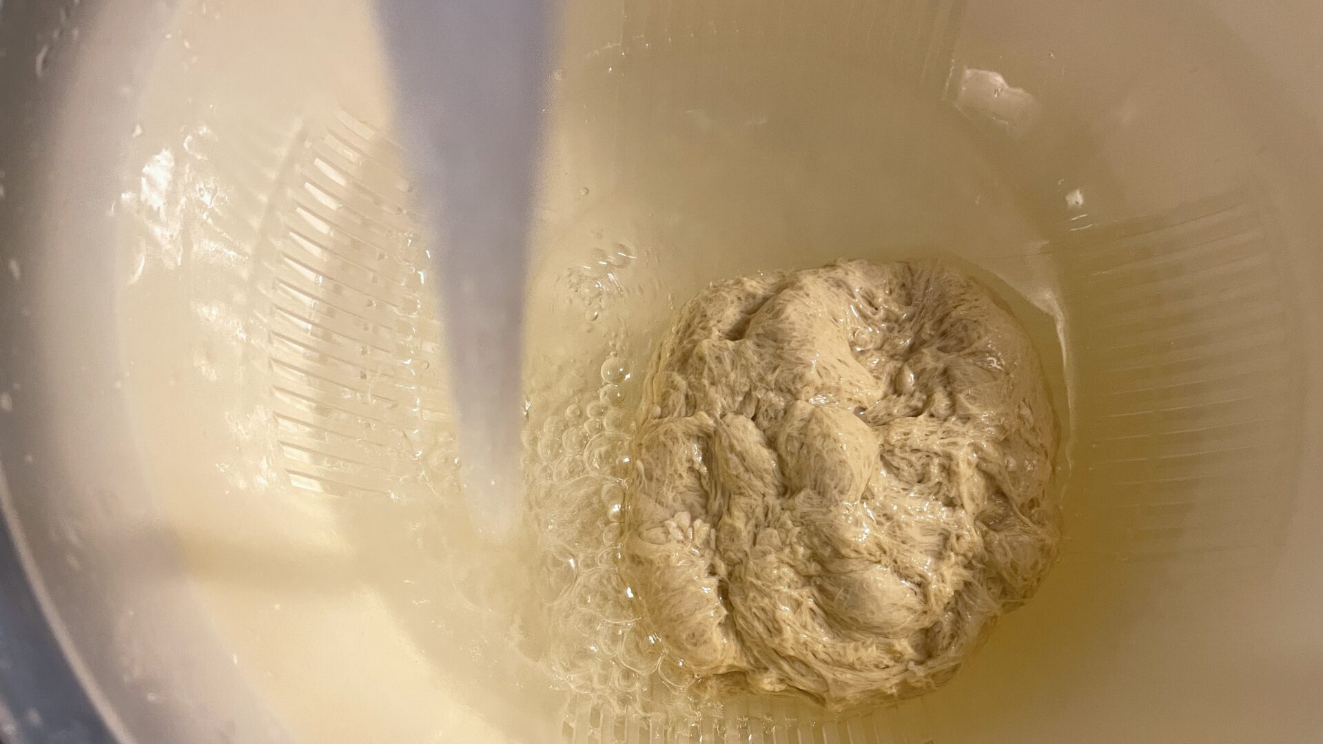 Seitan - hausgemachte Fleischalternative