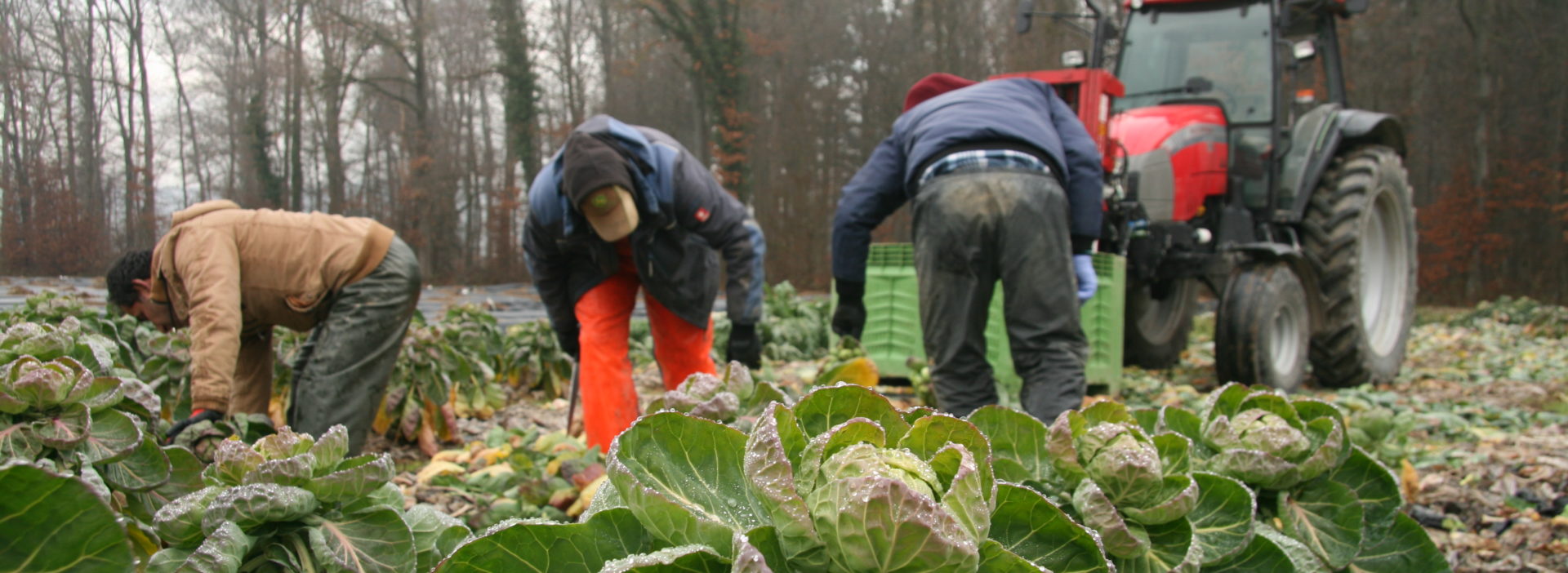 Feld Arbeit Winter