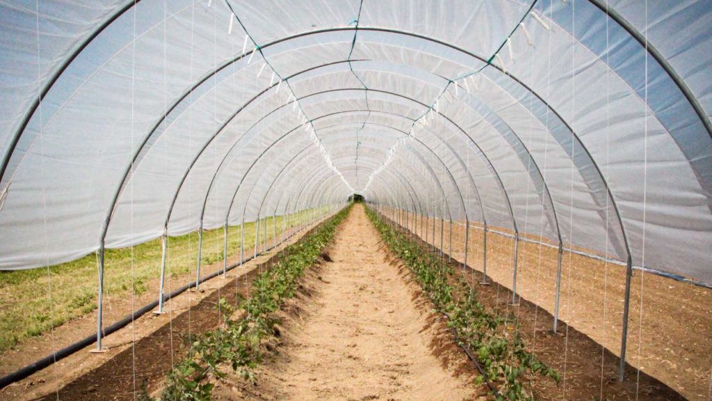 Frauen in der Landwirtschaft – Teil 1 - FarmTicker.ch