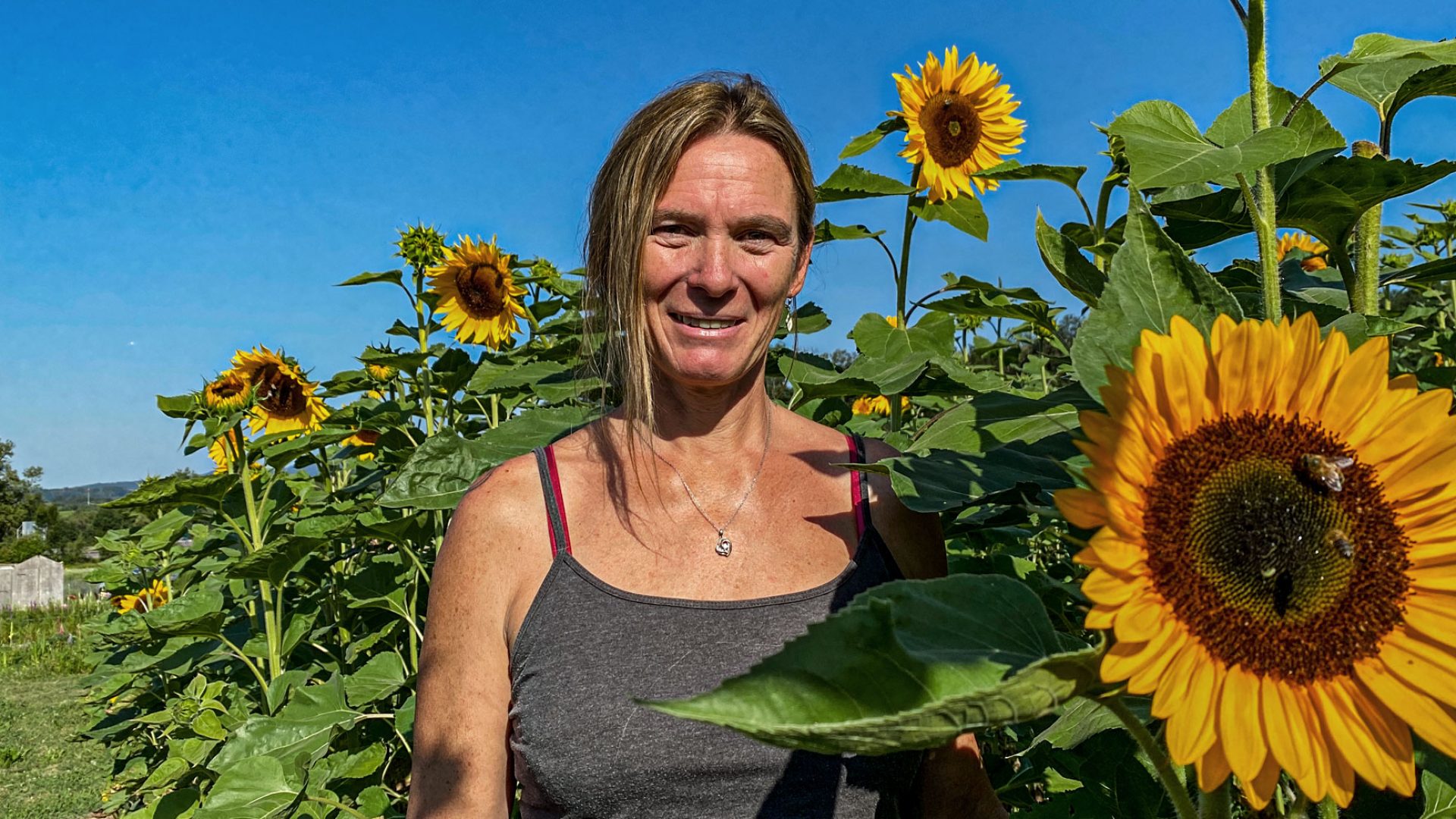 Gabi Faude im Sonnenblumenfeld