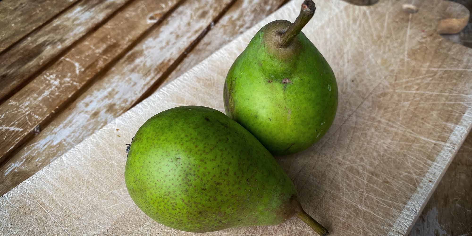 Birnen - die beliebtesten Sorten   - Ratgeber - Kochen - Warenkunde