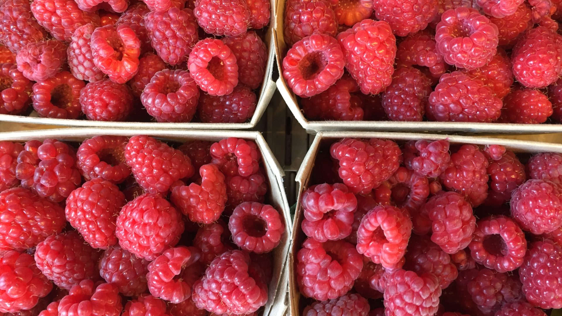 Himbeeren Jucker Farm