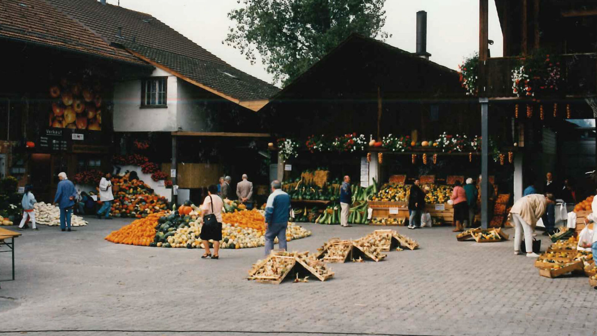 Hofplatz Kürbisausstellung 1997