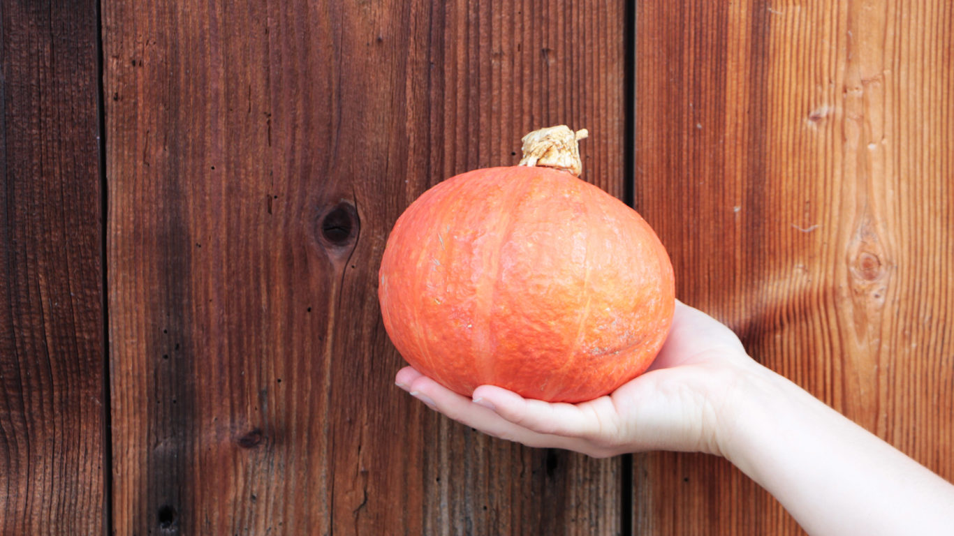 Kann man Kürbis einfrieren? Roh essen? Grillieren?