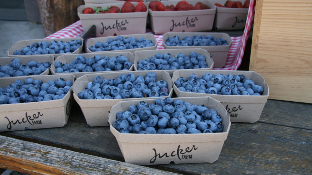 Jucker Farm Heidelbeeren